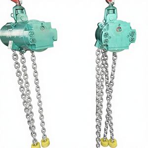 HQ5 Fixed Walking Pneumatic <span class=keywords><strong>Hoist</strong></span> Kapasitas Beban <span class=keywords><strong>250kg</strong></span> Perlindungan IP55 untuk Jalur Bawah Tanah - Product Image 4