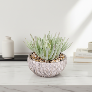 Vaso in Cemento per Piante Grasse dal Design Popolare Oh Arts, Fioriera Artificiale in Cemento per Decorare il Giardino - Product Image 5