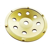Disco de Diamante PCD de 125 mm OEM para Eliminar Epoxi y Herramientas de Pulido de Concreto