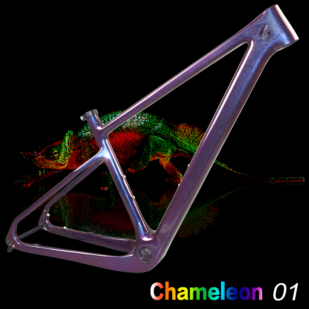 Camaleón 11