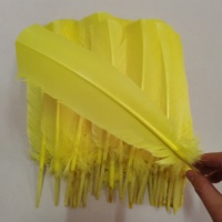 Plumes de dinde teintes en gros, 30-35 cm, plumes décoratives d'ailes de dinde pour costumes de carnaval, bricolage, artisanat, accessoires de chapellerie
