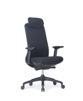 Fauteuil de Direction Ergonomique en Maille Respirante avec Support Lombaire et Accoudoirs 4D, Chaise à Roulettes