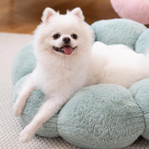 Pluche En Pp Katoen Roze Blauw Groen Hand Wassen Goedkope Kleurrijke Producten Huisdier <span class=keywords><strong>Bed</strong></span> - Product Image 2