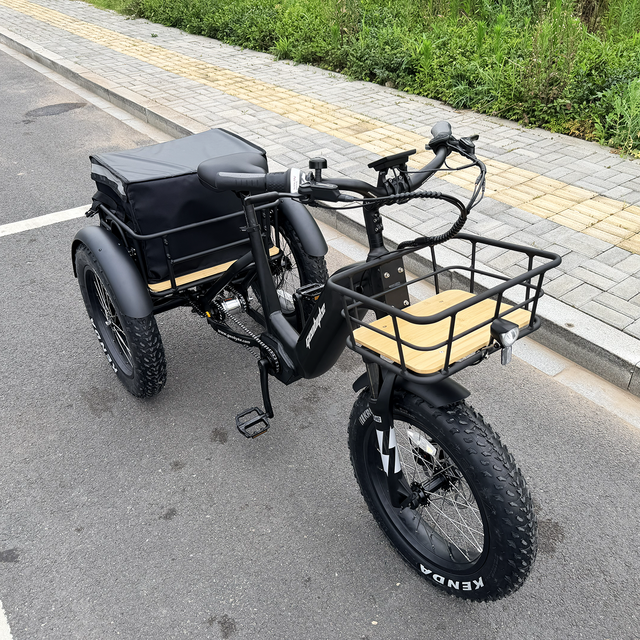 Factory Direct 150kgs Loading Electric Cargo Tricycle Central Motor 48v 15ah Lithium Battery 250w Pedal-Assist for Adults