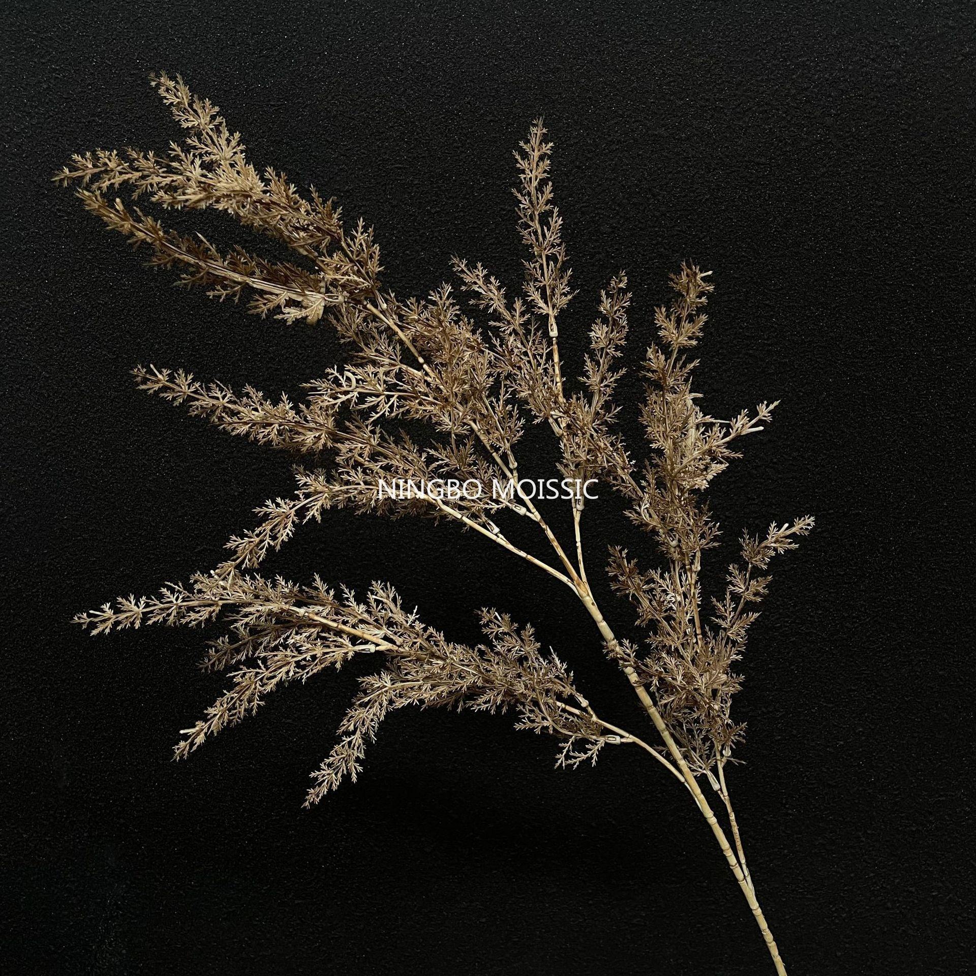 สีน้ำตาล