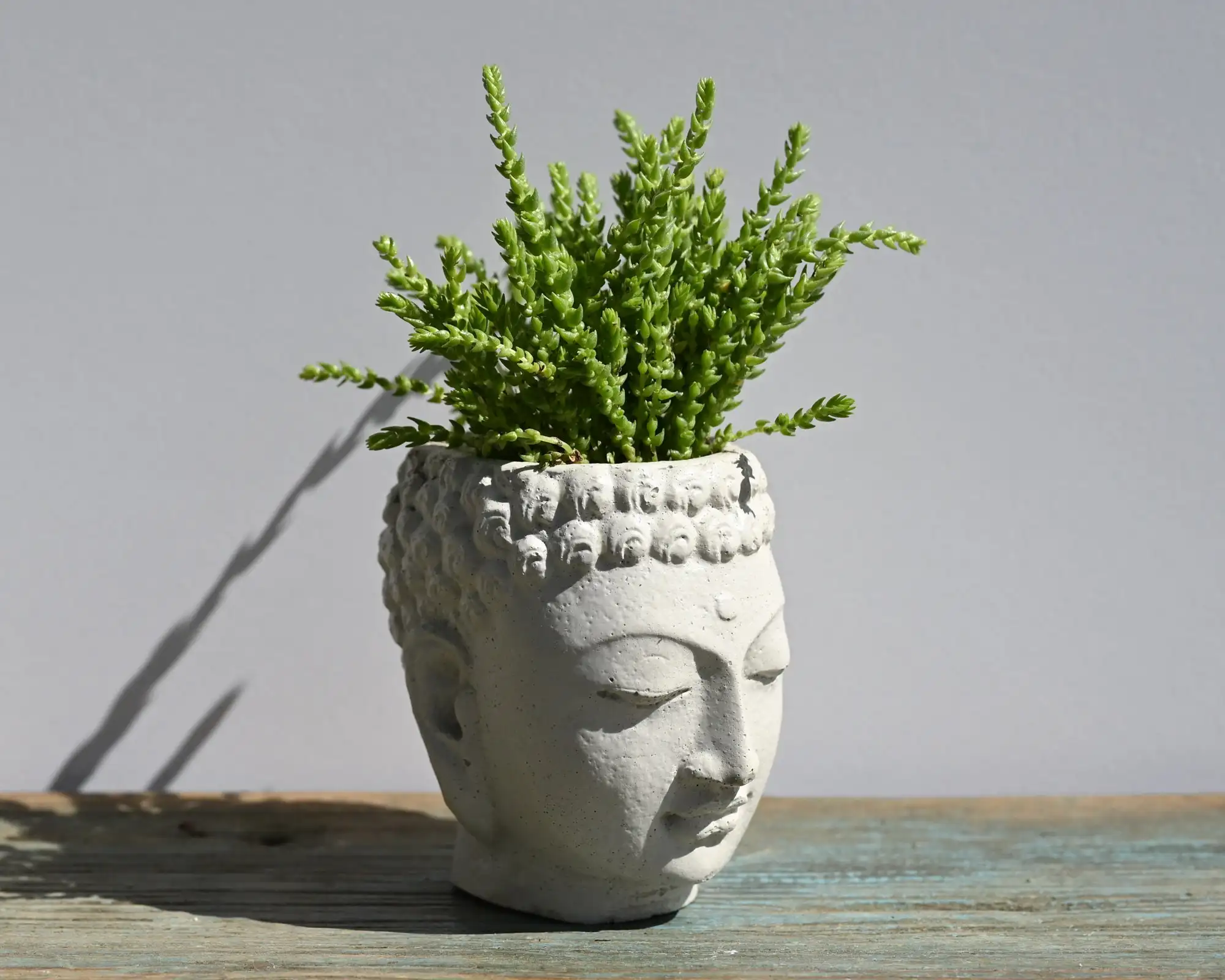 작은 콘크리트 부처님 머리 화분, 시멘트 즙이 많은 화분, 부처님 얼굴 화분 홈 장식