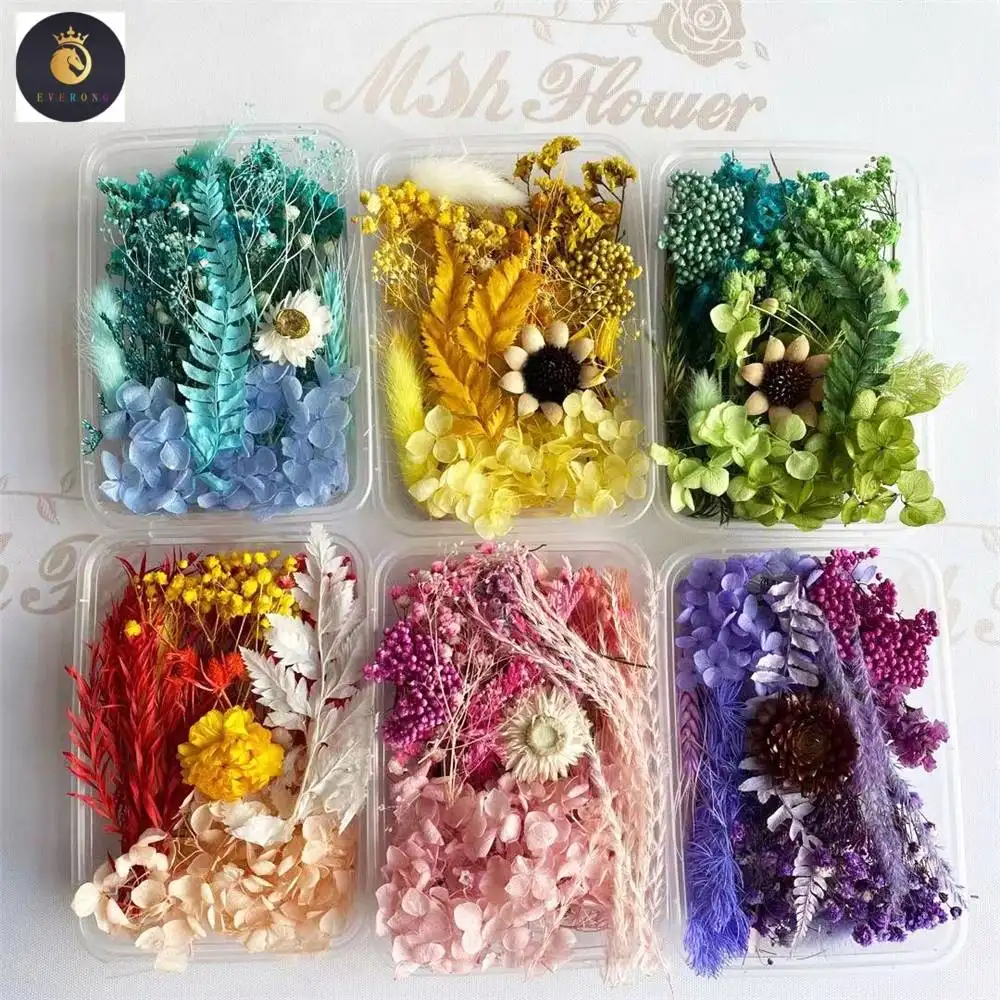 M81 Filz-Diy Blumen Handwerk Dekoration gemischte Farben Box getrocknete Blumen innentrocknende Pflanzen Blume natürliche Shandong schöne 10 Stück