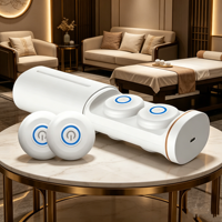 Appareil de moxibustion portable sans fumée HODAF, instrument de thérapie électrique à la moxa pour le soin des méridiens corporels