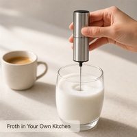 Fouet en acier inoxydable, batteur à œufs, mousseur pour smoothies, milkshakes, Dalgona, frappé, mélangeur de boissons électrique portatif