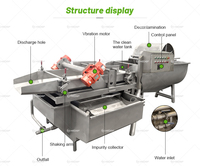 Machine à laver automatique pour légumes et fruits, vortex, moteur SUS 304, qualité alimentaire, capacité de 500 à 2000 kg/h pour céleri, épinards, laitue