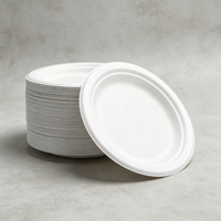 Assiettes jetables en bagasse blanches, vente en gros, compostables, écologiques, résistantes au micro-ondes, personnalisables, en vrac, OEM