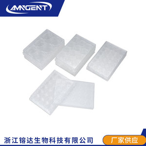 Placas de Cultivo Celular Angentech de 6/12/24/48/96 Pocillos, Material PS de Alta Transparencia, Tratadas con TC, Microplacas de Laboratorio - Product Image 3