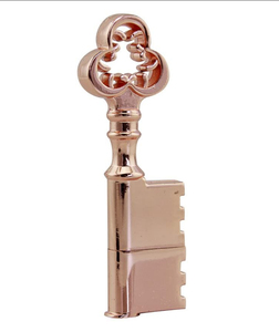 New Delicate Kim Loại Rose Gold Key <span class=keywords><strong>USB</strong></span> <span class=keywords><strong>Flash</strong></span> <span class=keywords><strong>Drive</strong></span> Key Pen <span class=keywords><strong>Drive</strong></span> 8GB 32GB Dung Lượng Thực <span class=keywords><strong>USB</strong></span> Đĩa Quà Tặng Khuyến Mãi - Product Image 4