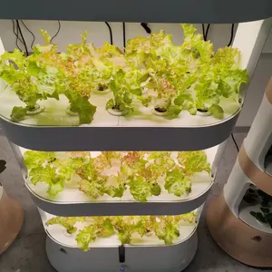 Gabinete de cultivo hidropónico inteligente DIY para interiores para plantación sin suelo