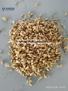 Sistema Promalting, Máquina Inteligente para el Malteado de Granos de Cereales para Expertos en Malteado - Product Image 6