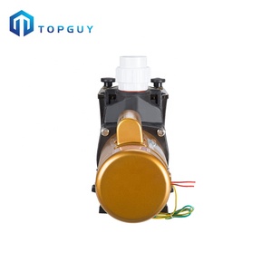 Il produttore vende 2HP pompa per piscina con pompa per piscina - Product Image 5