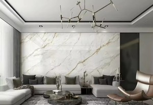 Collezione diretta in fabbrica <span class=keywords><strong>di</strong></span> Pegmatite a lastre sottili nero tavolo da pranzo da cucina pannelli <span class=keywords><strong>di</strong></span> parete in pietra sinterizzata - Product Image 2