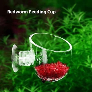 Yuer, taza de alimentación de insectos, soporte de línea de gusano rojo, taza de sangre transparente, pecera, paisajismo, colgante de pared, objeto decorativo de succión - Product Image 3