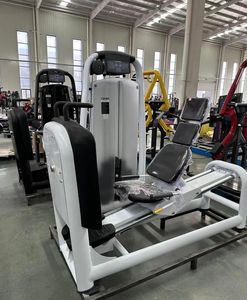 Machine à écartement des deltoides latérales à charge par poulie, pour le modelage des épaules et le développement de la base des épaules, entraînement du haut du corps en salle de sport - Product Image 2