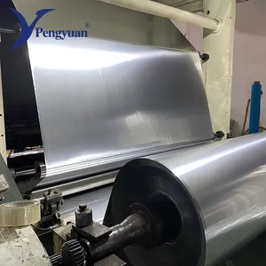 Phản Quang Polyester Mylar Metallized Phim Cuộn 12 Micron