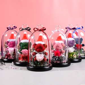 Lujosa Idea de regalo Hecha a mano Oso de Navidad conservado Oso rosa - Product Image 1