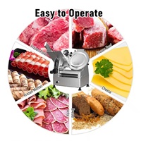 Trancheuse à viande congelée électrique automatique en acier inoxydable 220V, microtome, capacité 100kg/h, pour restaurant, magasin alimentaire, neuve