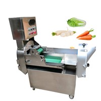 Snijmachine Groentesnijder Groentesnijmachine Commerciële Industriële Groentesnijmachine Kaassnijmachine