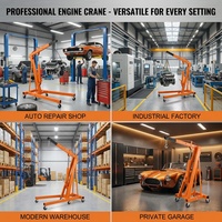 Grue d'atelier hydraulique pliable robuste avec structure en acier stable et conception portable pour un rangement facile et un levage sécurisé