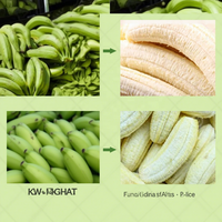Nieuwe Groene Rijpe Gemotoriseerde Kleine Plantain Schiller Bananenschil Snijdende Fruitverwerkingsmachine Hoge Productiviteit SANFU Merk