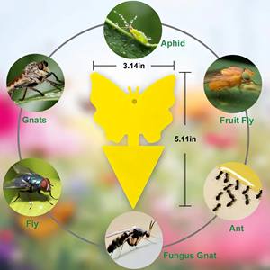 Agricultura <span class=keywords><strong>Fruta</strong></span> Forma <span class=keywords><strong>de</strong></span> flor Amarillo Trampa pegajosa-Atrapa moscas y <span class=keywords><strong>mosquitos</strong></span> Insecto Pegamento Killer Estado <span class=keywords><strong>de</strong></span> <span class=keywords><strong>la</strong></span> técnica Tipo <span class=keywords><strong>de</strong></span> gel - Product Image 4