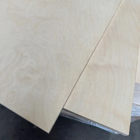 Panneau de contreplaqué en bois de bouleau massif de qualité AA, taille personnalisable (épaisseur 3-45 mm), design contemporain pour meubles et hôtels