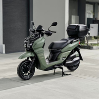 Scooter électrique tout-terrain 1500W 2000W 60V/72V 12 pouces avec grande roue et porte-bagages pour adulte