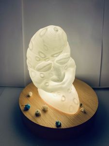 Imprimante 3D en argile Antinsky ZCC5070 avec une taille d'impression de 500 mm * 500 mm * 700 mm, imprimante 3D en béton, prise en charge de l'impression continue - Product Image 6