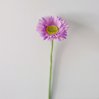 Penjualan pabrik bunga aster buatan beraneka warna, bentuk daun cabang tunggal untuk dekorasi rumah Hari Valentine