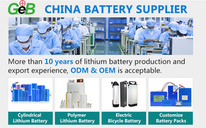 GEB <span class=keywords><strong>3</strong></span>,7 V lithium Li ion polymer lipo 5000mAh batteries battery for digital products - Product Image 5