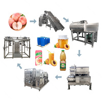 Machines à confiture de fruits un fabriquer la compote de ligne de production