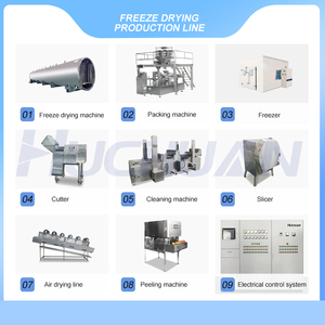 Máy sấy đông lạnh công nghiệp Huchuan htfd150l 180kg cho dây chuyền sản xuất mơ ngọt đông khô - Product Image 3