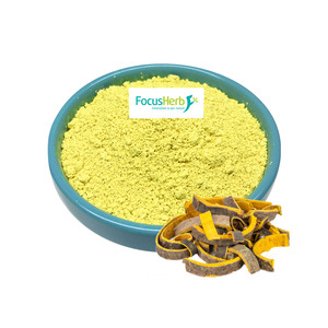 Poudre jaune de chlorhydrate de berbérine de qualité alimentaire FocusHerb 97% extrait de Coptis Chinensis extrait de plantes médicinales - Product Image 1