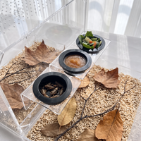 Plateau d'alimentation pour reptiles à ventouse suspendue, accessoires de décoration de terrarium, bol à nourriture et à eau pour serpent, araignée, caméléon, gecko