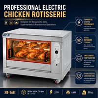 Fourneau miniature de table 6 kW avec rôtissoire à poulet, certifié CE, fabriqué en Chine, à vendre