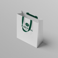 Sac en papier écologique avec logo personnalisé de luxe Supermarché Shopping Coffret cadeau de luxe avec design personnalisé pour les vêtements