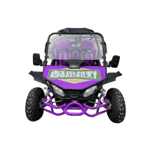 2022 double seats gokart 200cc gas engine buggies off road go kart cross cheap 4x4 off road buggy for adult