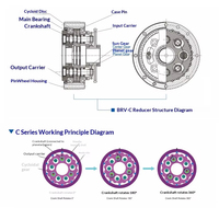 Reductor Cicloidal RV para Robot Industrial, Diseño de Montaje Vertical, Relación Personalizada 10:1, Caja de Engranajes de Alta Precisión, Junta Robótica