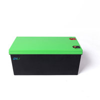 GNLi Best Seller Baterai Lithium LiFePO4 12V 200Ah Pengganti Aki Timbal Asam untuk Solar RV Marine Cadangan Rumah 3000 Siklus 2 Tahun Garansi
