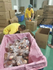 Je t'aime <span class=keywords><strong>coeur</strong></span> rouge <span class=keywords><strong>ours</strong></span> en peluche saint valentin cadeau de remise des diplômes jouet en peluche doux <span class=keywords><strong>avec</strong></span> remplissage en coton PP coussin d'oreiller confortable - Product Image 6