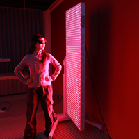 Appareil de beauté à LED pour le corps entier, traitement par lumière rouge et infrarouge proche 630nm 660nm 810nm 830nm 850nm, panneau de luminothérapie PDT