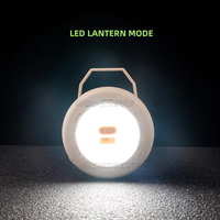 Lanterne de camping rechargeable 2-en-1 avec guirlande lumineuse LED rétractable de 5 m, lampe suspendue étanche pour tente extérieure