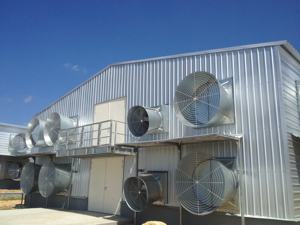 Vorgefertigte leichte Stahl konstruktion Kuh schwein Huhn Pferd Ziege Schuppen Bauernhaus Scheune Geflügel zucht Stabiles Gebäude Design - Product Image 4