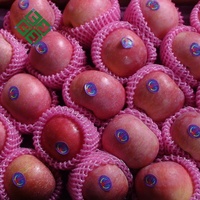 Nieuw Gewas Sappig Vers Rood Fuji Appelfruit Natuurlijk Verse Appelfabrikanten Laagste Prijs Rode Fuji Appel
