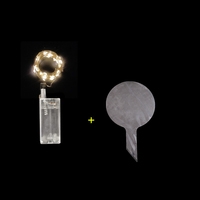 Ballons Bobo LED personnalisés en gros, 3M, 30 pièces, lumières LED, décorations pour mariage, Halloween, Noël, fête